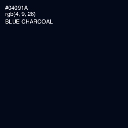 #04091A - Blue Charcoal Color Image